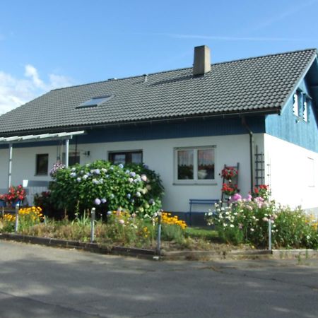 Ferienwohnung Haus Edeltraud Im Suedschwarzwald, Grosse, Helle, Ruhige Souterrain-Whg, Hunde Geeignet, Mit 2 Fahrraedern, 3 Baeckereien Mit Fruehstueck, 2 Lebensmittel-, 1 Italien-Pastalaeden, Kontakt Peter Heubueschl Aus Loerrach Rheinfelden  Esterno foto